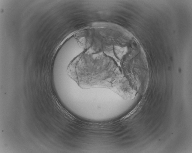 X0000081631409200702121653