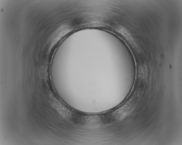 X0000081631410200702121653