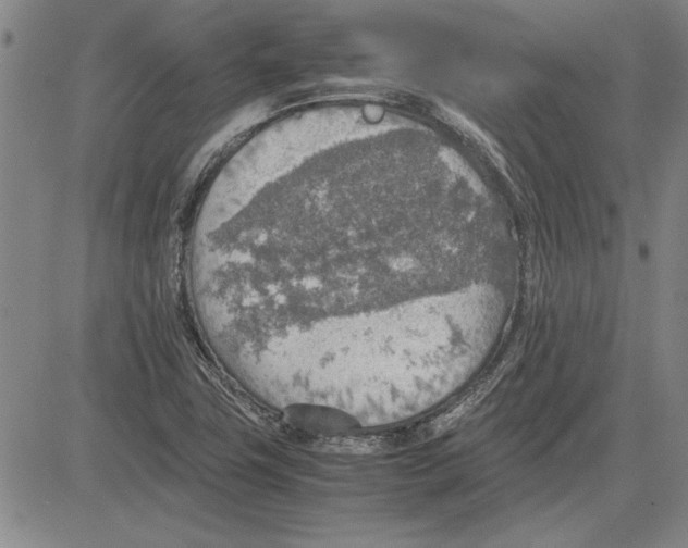 X0000081631411200702121653