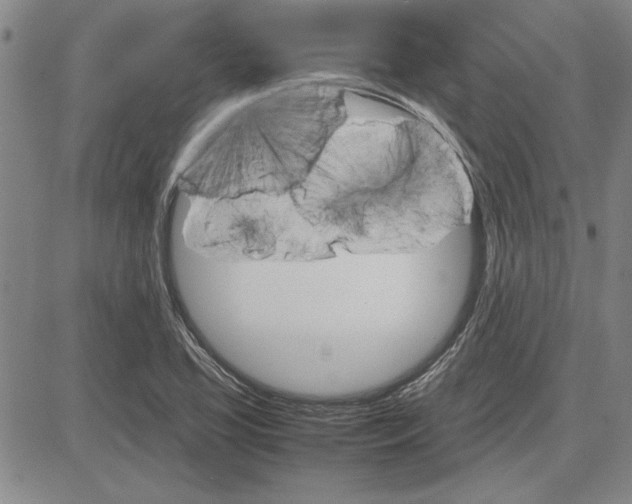 X0000081631413200702121653