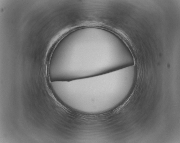 X0000081631414200702121653