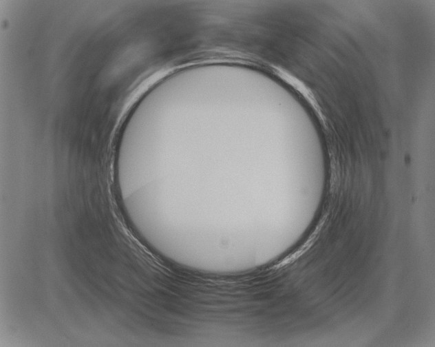 X0000081631415200702121653