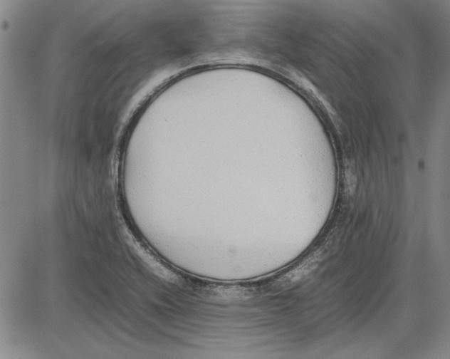 X0000081631416200702121653