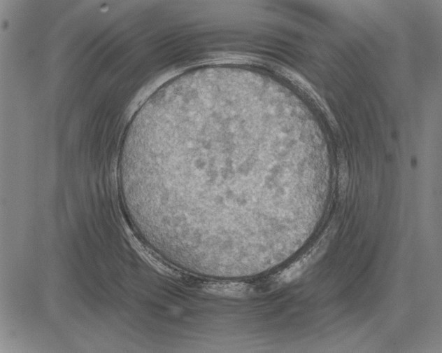 X0000081631417200702121653