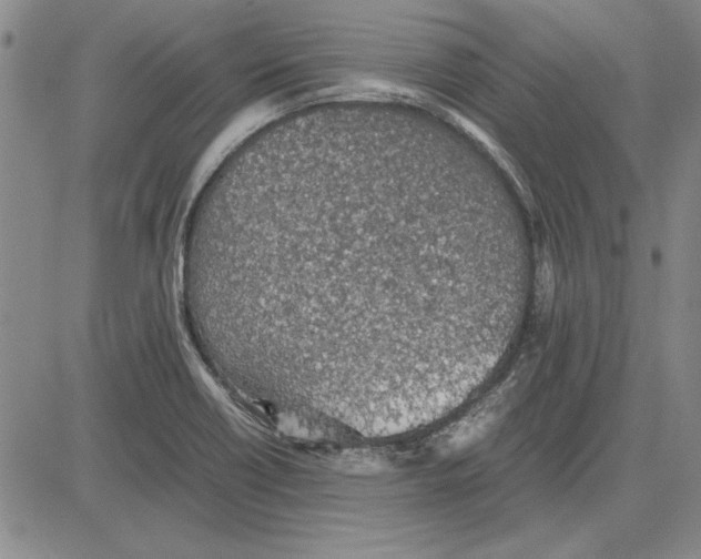 X0000081631418200702121653