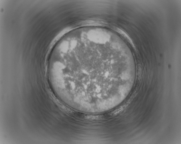 X0000081631419200702121653