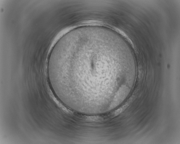 X0000081631421200702121653