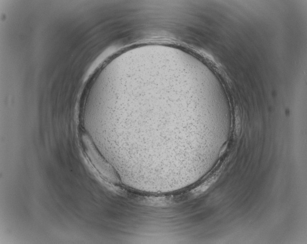 X0000081631422200702121653