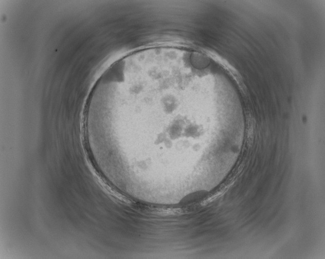 X0000081631423200702121653