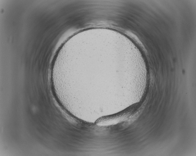 X0000081631424200702121653