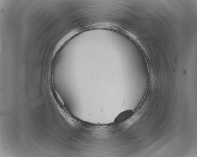 X0000081631426200702121653