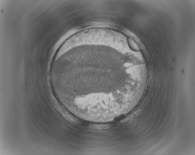 X0000081631427200702121653