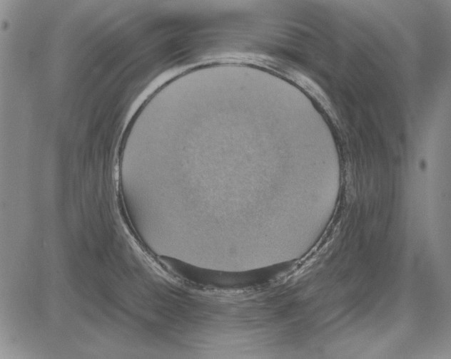 X0000081631428200702121653