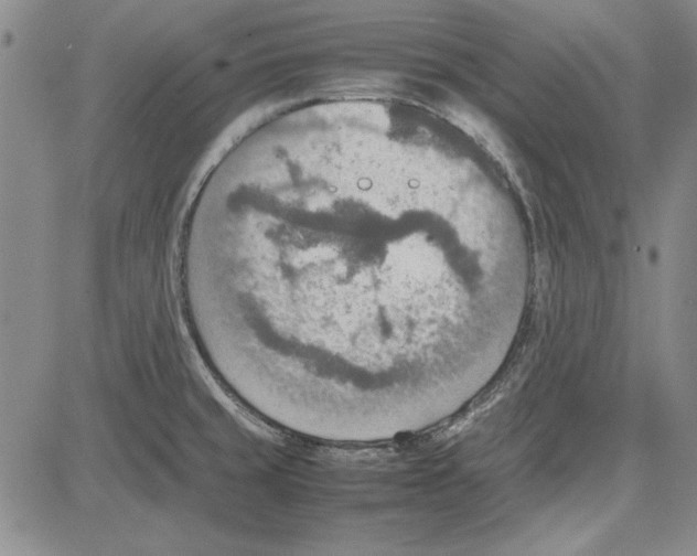 X0000081631429200702121653