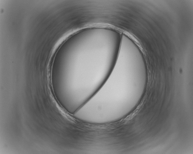 X0000081631430200702121653