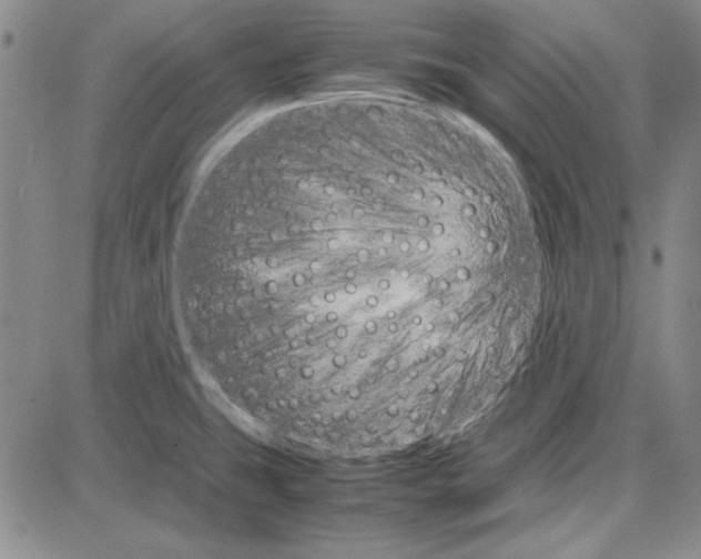 X0000081631431200702121653