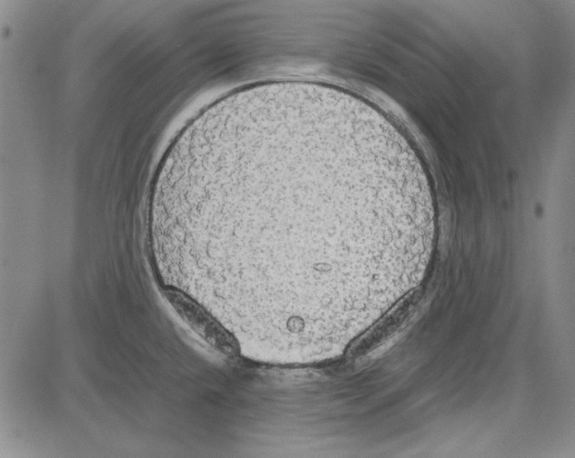 X0000081631432200702121653