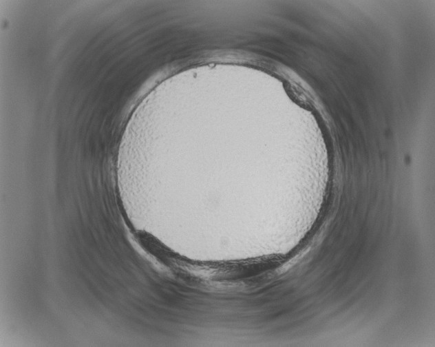 X0000081631433200702121653