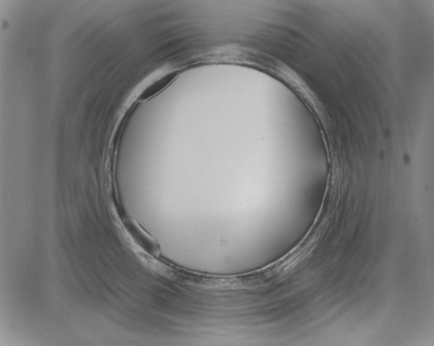 X0000081631434200702121653