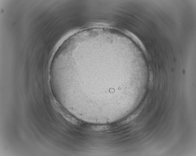 X0000081631435200702121653