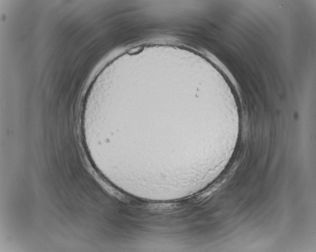 X0000081631437200702121654