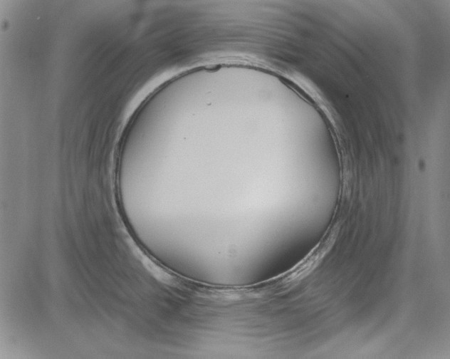 X0000081631438200702121654