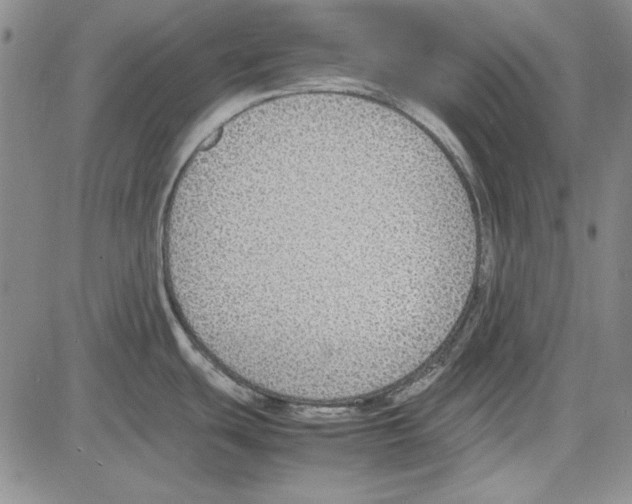 X0000081631439200702121654