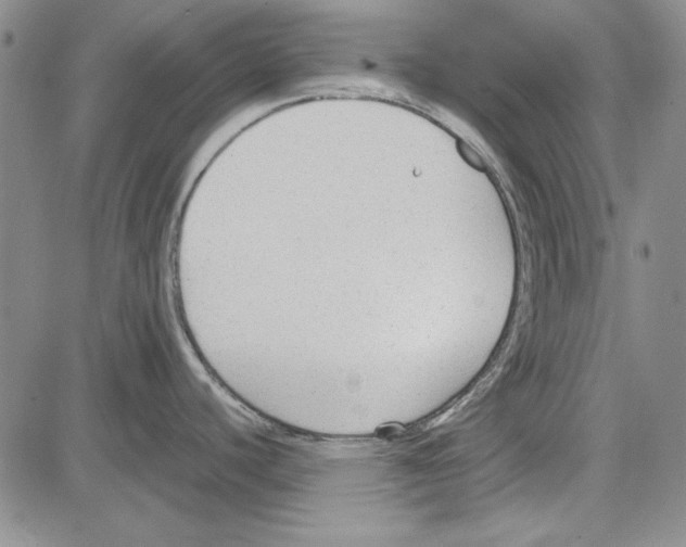 X0000081631440200702121654