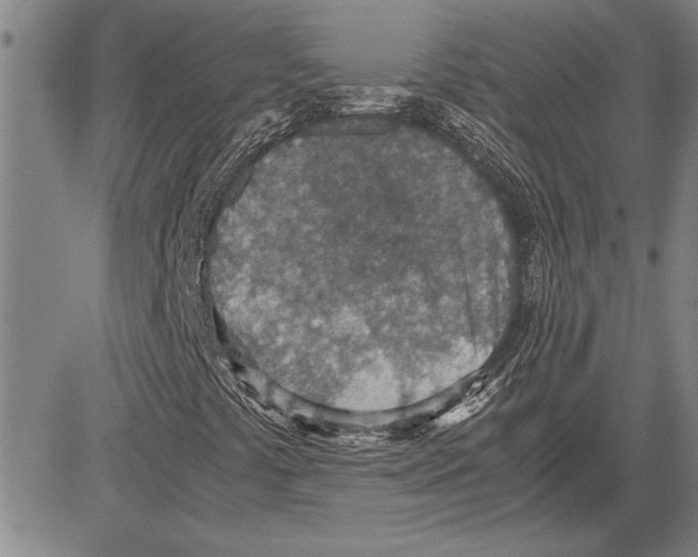 X0000081631441200702121653