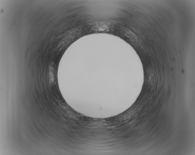 X0000081631442200702121653