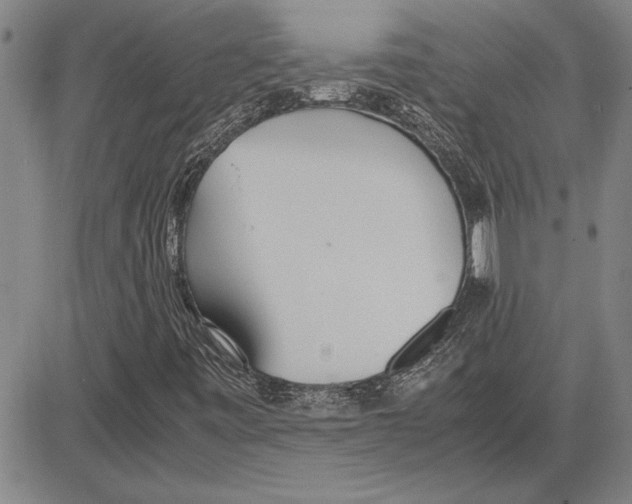 X0000081631443200702121653