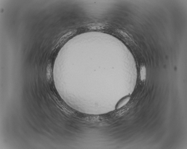 X0000081631444200702121653