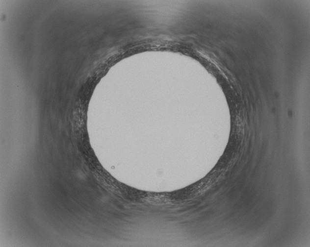 X0000081631447200702121653