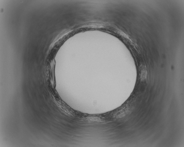 X0000081631448200702121653