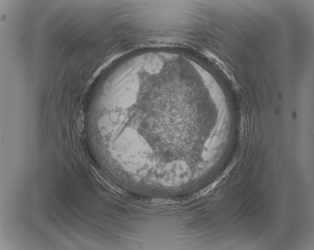 X0000081631449200702121653