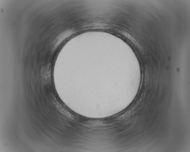 X0000081631450200702121653