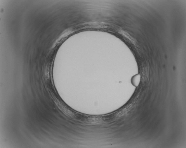 X0000081631451200702121653