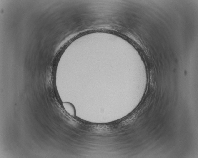 X0000081631452200702121653