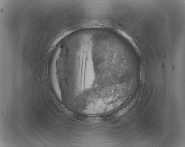 X0000081631453200702121653