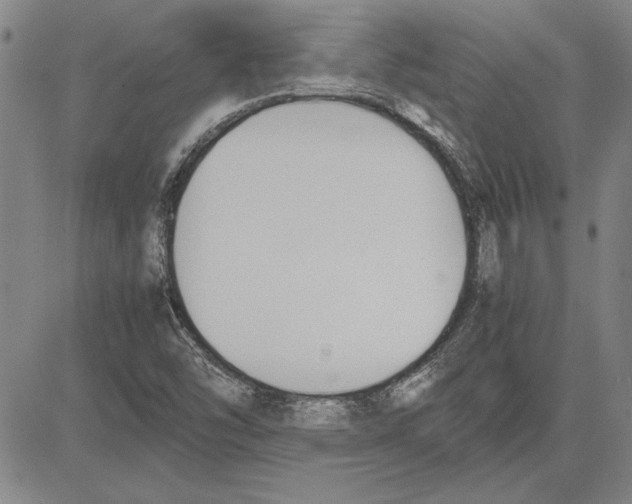 X0000081631454200702121653