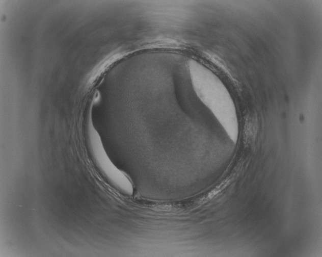 X0000081631455200702121653