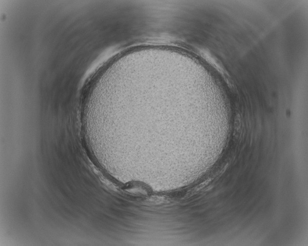 X0000081631456200702121653