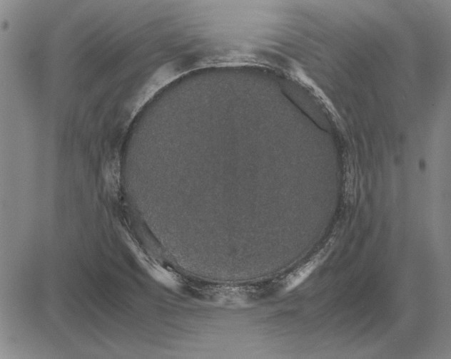 X0000081631457200702121653