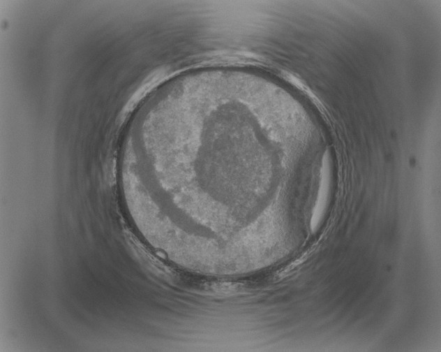 X0000081631459200702121652