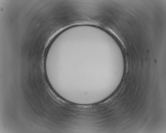 X0000081631460200702121652