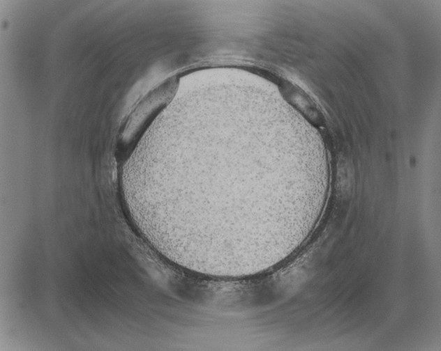 X0000081631461200702121652