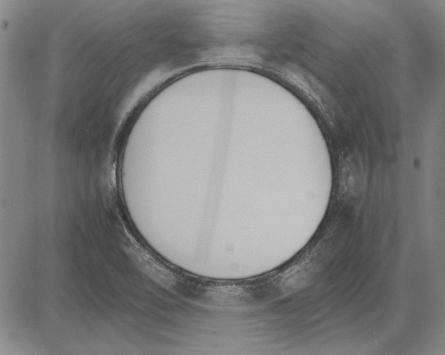 X0000081631462200702121652