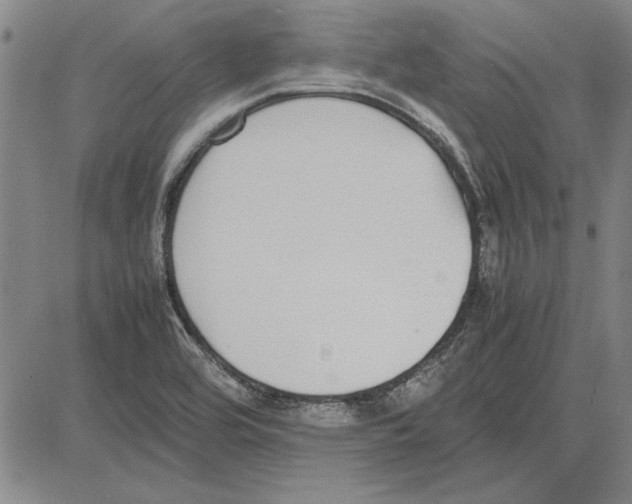 X0000081631464200702121652