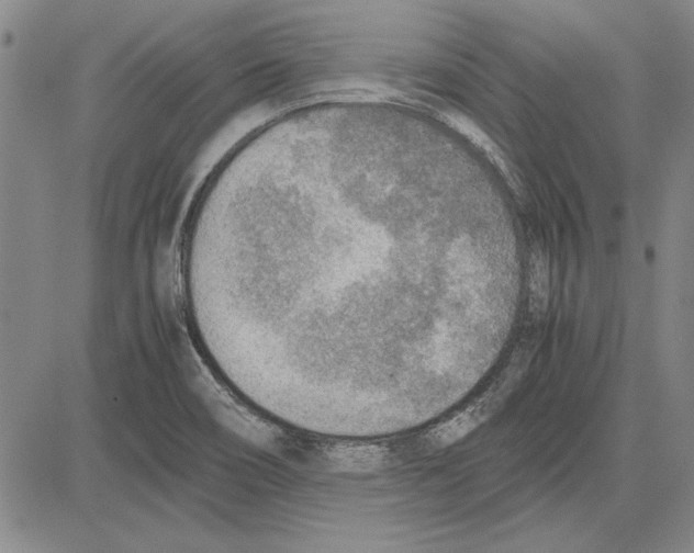 X0000081631466200702121652