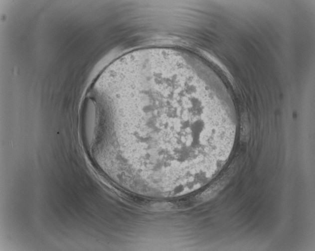 X0000081631467200702121652